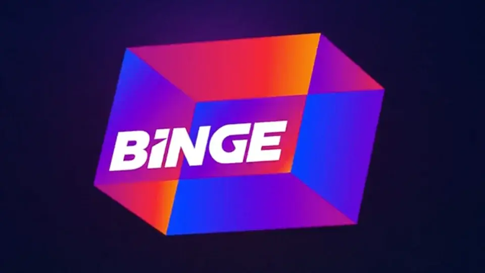 Binge Case Study